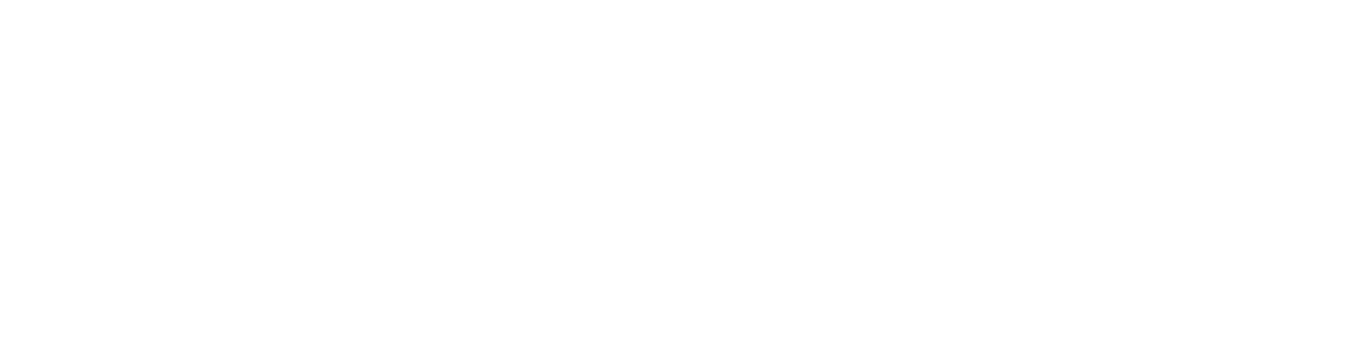 Punto+